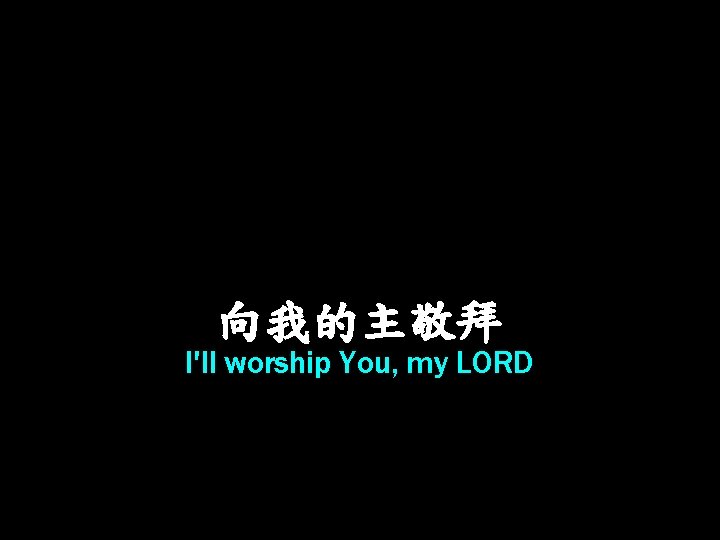 向我的主敬拜 I'll worship You, my LORD 