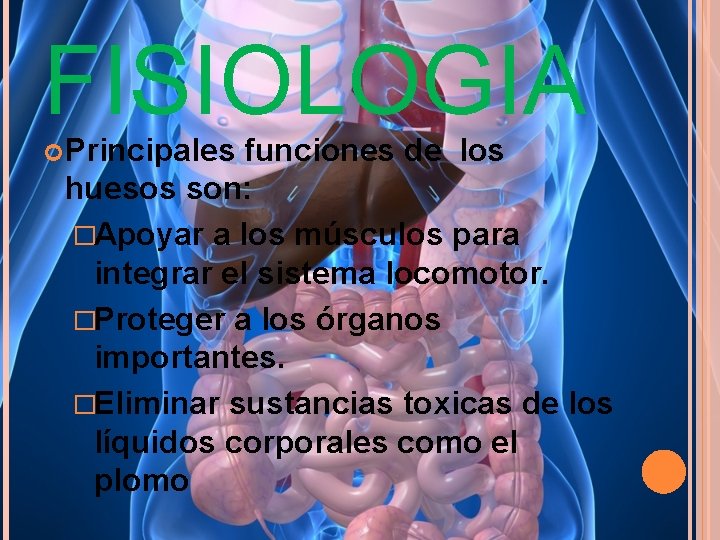 FISIOLOGIA Principales funciones de los huesos son: �Apoyar a los músculos para integrar el