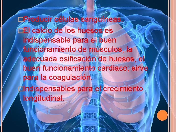 �Producir células sanguíneas. �El calcio de los huesos es indispensable para el buen funcionamiento