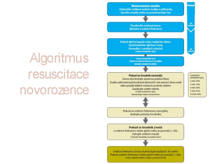 Algoritmus resuscitace novorozence 