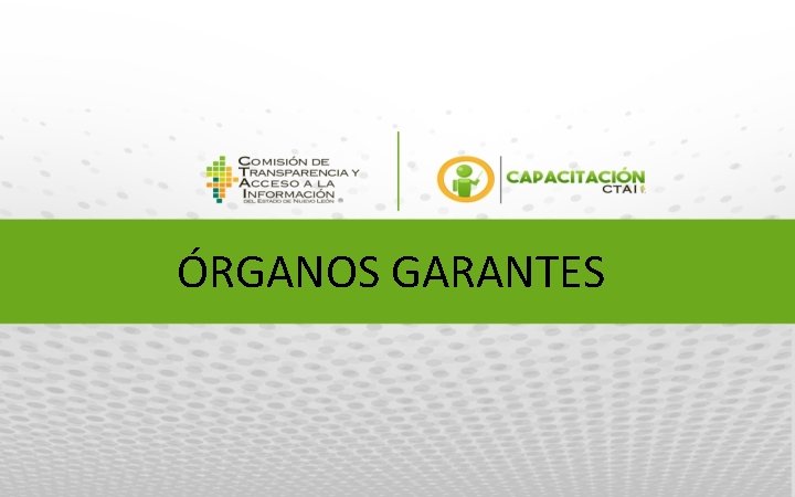 ÓRGANOS GARANTES 