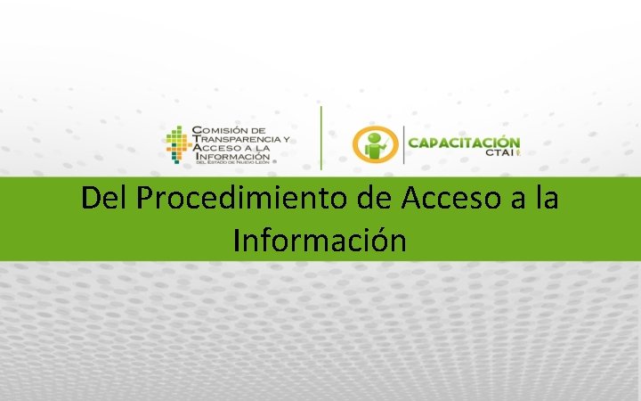 Del Procedimiento de Acceso a la Información 