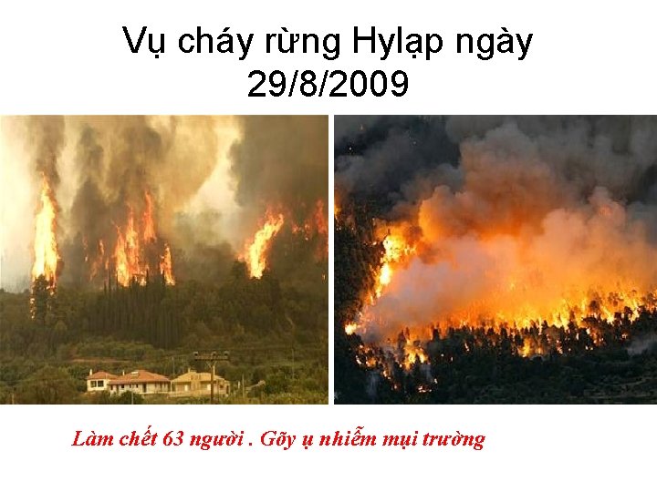 Vụ cháy rừng Hylạp ngày 29/8/2009 Làm chết 63 người. Gõy ụ nhiễm mụi