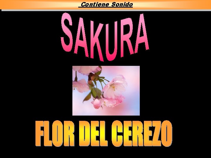 Contiene Sonido Contiene Sonido