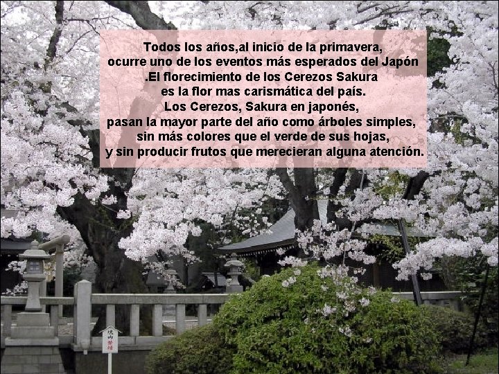 Todos los años, al inicio de la primavera, ocurre uno de los eventos más Todos los años, al inicio de la primavera, ocurre uno de los eventos más