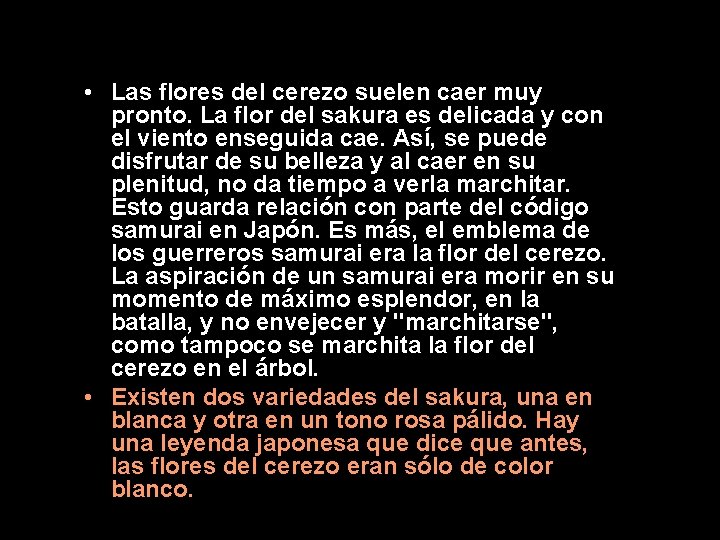 • Las flores del cerezo suelen caer muy pronto. La flor del sakura • Las flores del cerezo suelen caer muy pronto. La flor del sakura