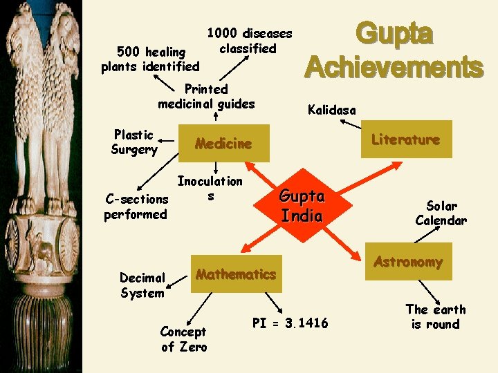 500 healing plants identified 1000 diseases classified Printed medicinal guides Plastic Surgery Gupta Achievements