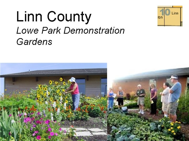 Linn County Lowe Park Demonstration Gardens 