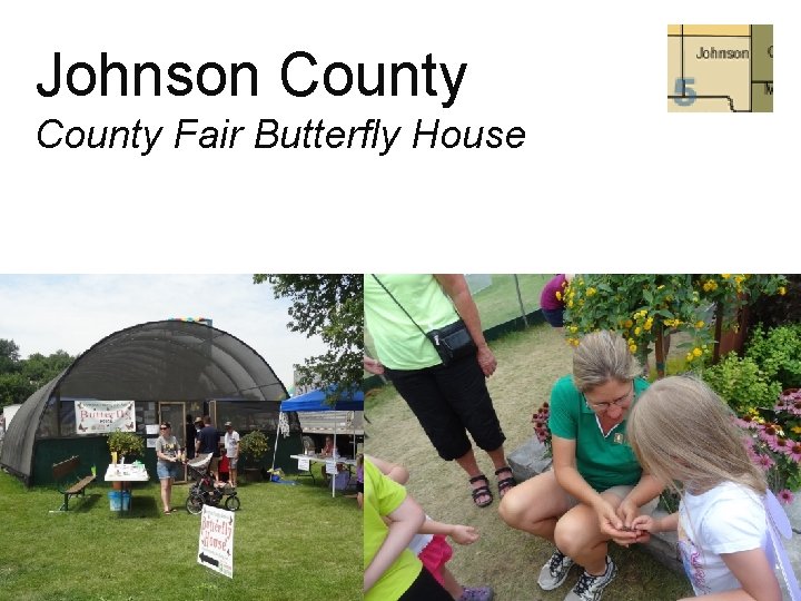 Johnson County Fair Butterfly House 