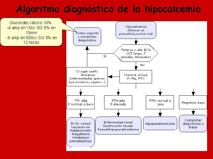 hipocalcemia-dx-diferencial-a-propsito-de-un-caso