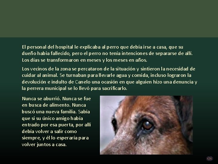 El personal del hospital le explicaba al perro que debía irse a casa, que