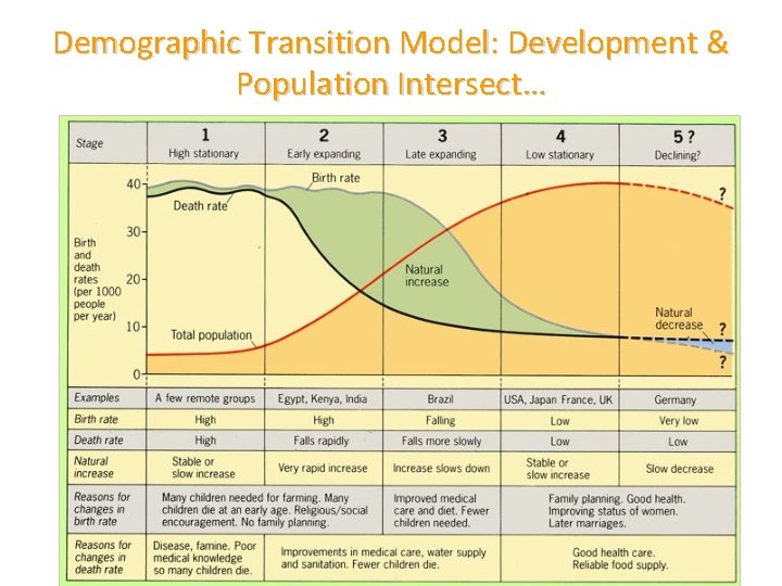Demographic Transition Model: Development & Population Intersect… 