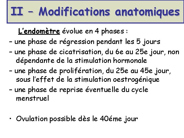 II – Modifications anatomiques L’endomètre évolue en 4 phases : – une phase de