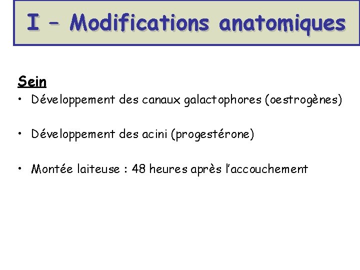 I – Modifications anatomiques Sein • Développement des canaux galactophores (oestrogènes) • Développement des