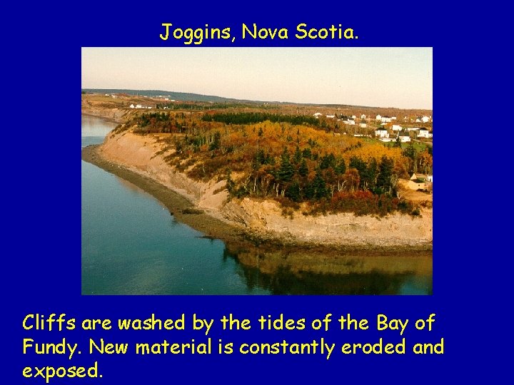 Joggins, Nova Scotia. Cliffs are washed by the tides of the Bay of Fundy.