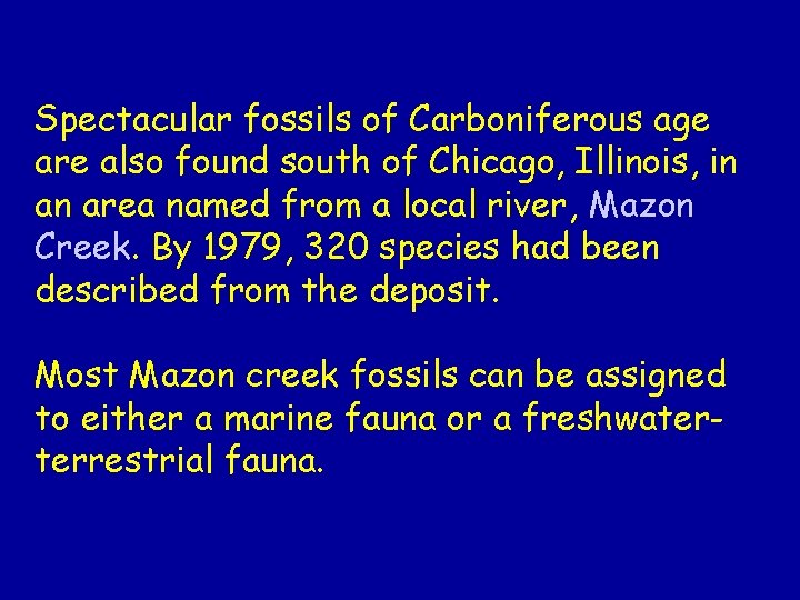 Spectacular fossils of Carboniferous age are also found south of Chicago, Illinois, in an