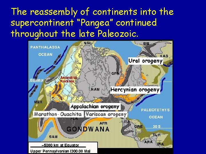 The reassembly of continents into the supercontinent “Pangea” continued throughout the late Paleozoic. 