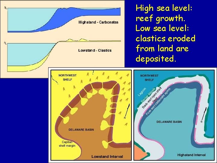 High sea level: reef growth. Low sea level: clastics eroded from land are deposited.