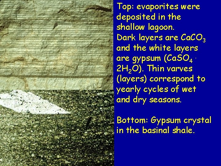 Top: evaporites were deposited in the shallow lagoon. Dark layers are Ca. CO 3