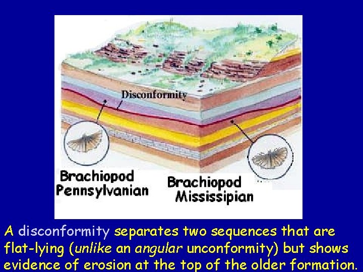 A disconformity separates two sequences that are flat-lying (unlike an angular unconformity) but shows