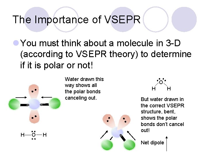 The Importance of VSEPR l You must think about a molecule in 3 -D