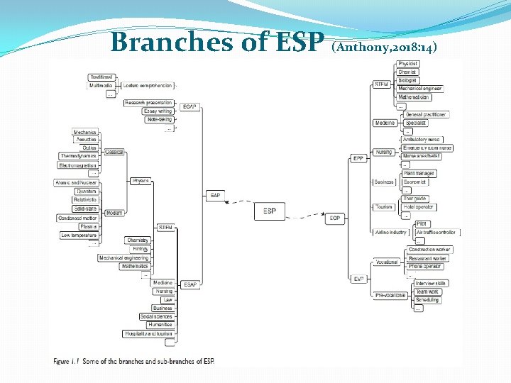Branches of ESP (Anthony, 2018: 14) 