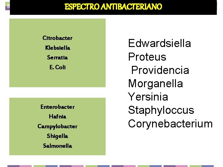 ESPECTRO ANTIBACTERIANO Citrobacter Klebsiella Serratia E. Coli Enterobacter Hafnia Campylobacter Shigella Salmonella Edwardsiella Proteus