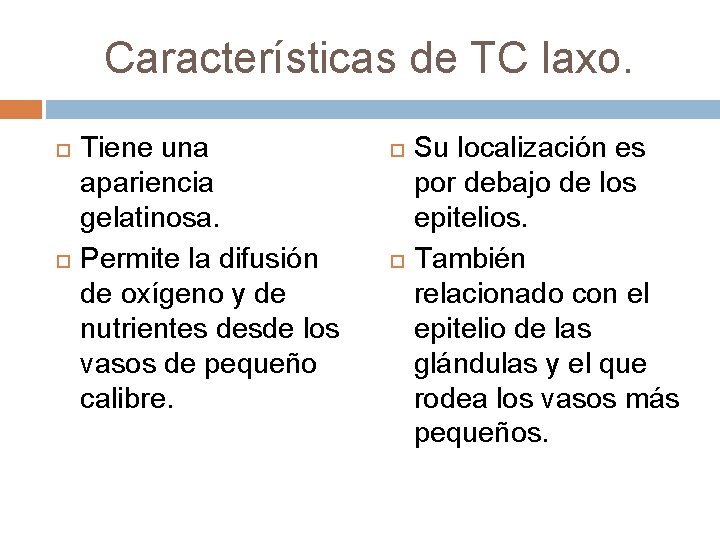 Características de TC laxo. Tiene una apariencia gelatinosa. Permite la difusión de oxígeno y