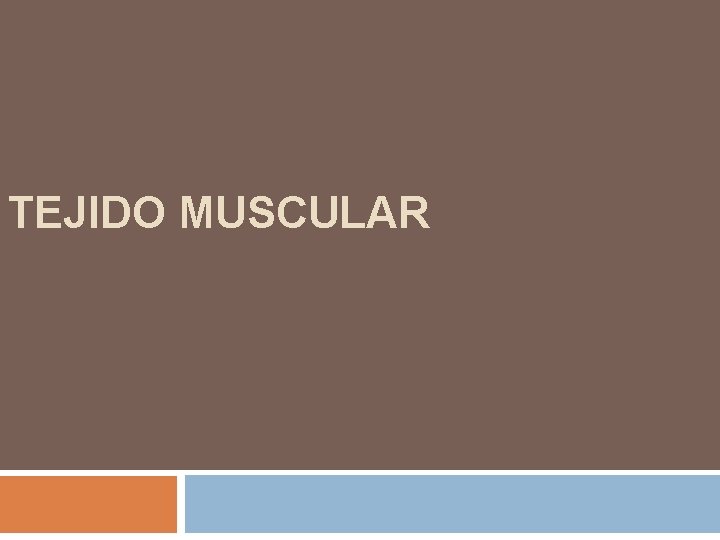 TEJIDO MUSCULAR 