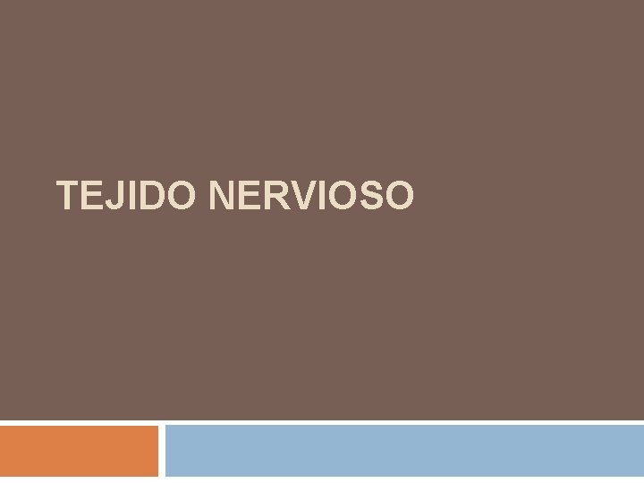 TEJIDO NERVIOSO 