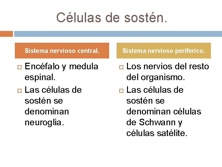 Células de sostén. Sistema nervioso central. Encéfalo y medula espinal. Las células de sostén