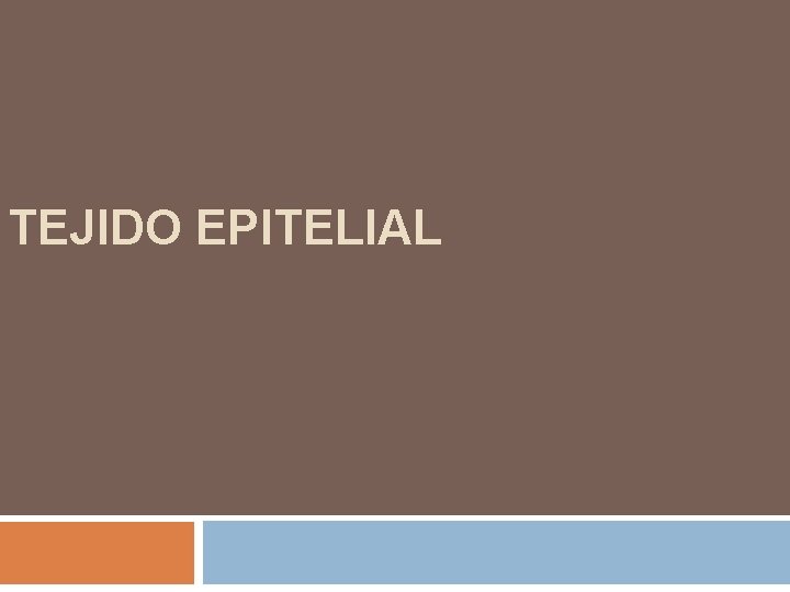 TEJIDO EPITELIAL 