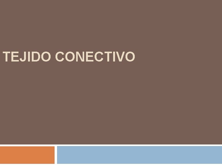 TEJIDO CONECTIVO 