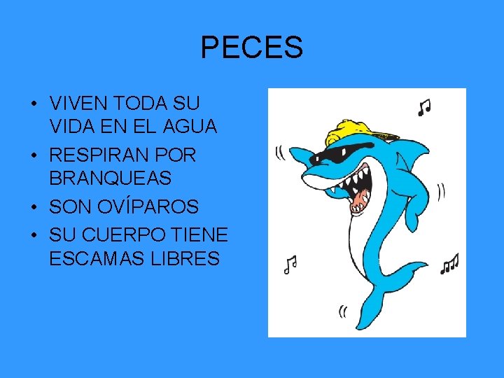 PECES • VIVEN TODA SU VIDA EN EL AGUA • RESPIRAN POR BRANQUEAS •