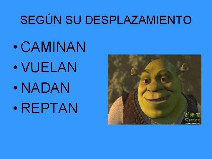 SEGÚN SU DESPLAZAMIENTO • CAMINAN • VUELAN • NADAN • REPTAN 