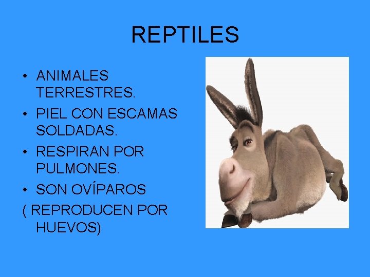 REPTILES • ANIMALES TERRESTRES. • PIEL CON ESCAMAS SOLDADAS. • RESPIRAN POR PULMONES. •