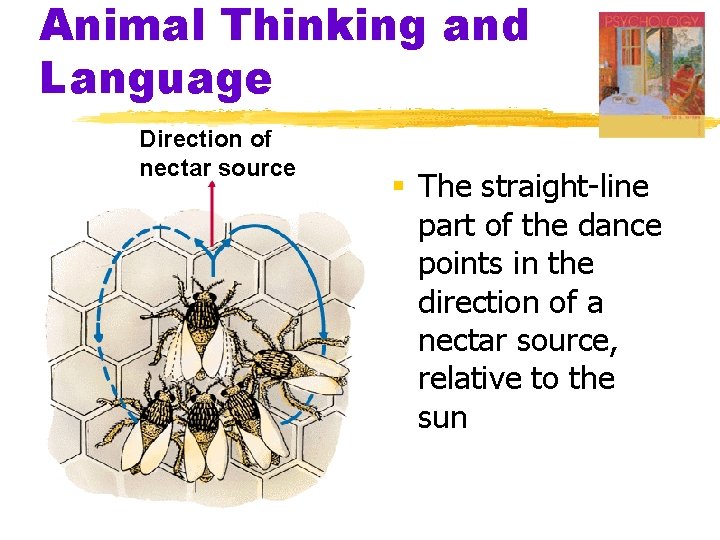Animal Thinking and Language Direction of nectar source § The straight-line part of the Animal Thinking and Language Direction of nectar source § The straight-line part of the