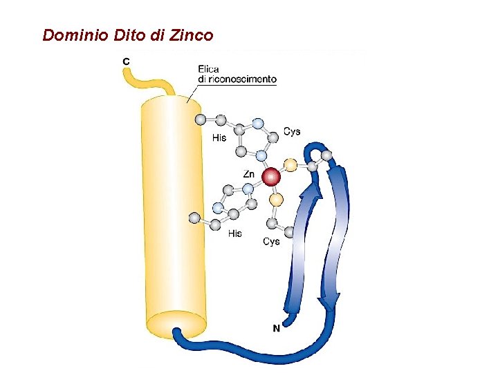 Dominio Dito di Zinco 