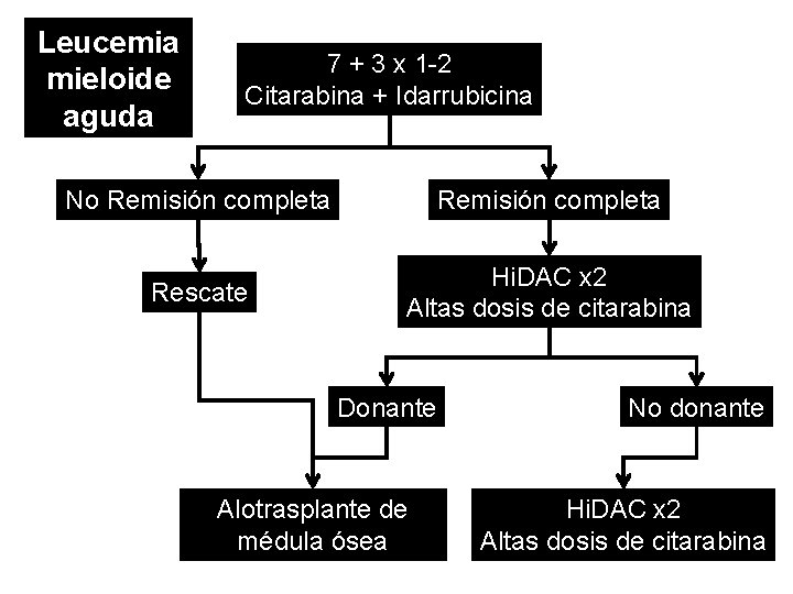 Leucemia mieloide aguda 7 + 3 x 1 -2 Citarabina + Idarrubicina No Remisión