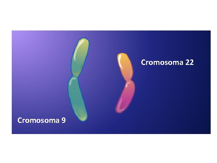 Cromosoma 22 Cromosoma 9 