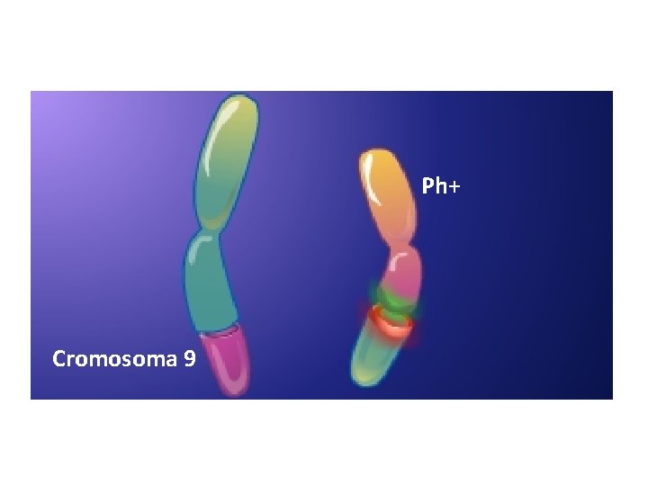 Ph+ Cromosoma 9 