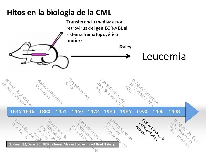Hitos en la biología de la CML o iv ct R le BC se