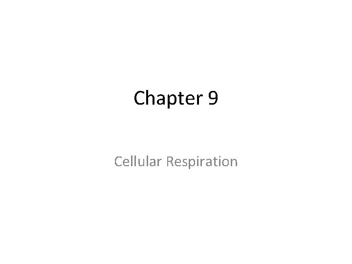 Chapter 9 Cellular Respiration 