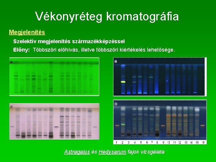 Vékonyréteg kromatográfia Megjelenítés Szelektív megjelenítés származékképzéssel Előny: Többszöri előhívás, illetve többszöri kiértékelés lehetősége. Astragalus