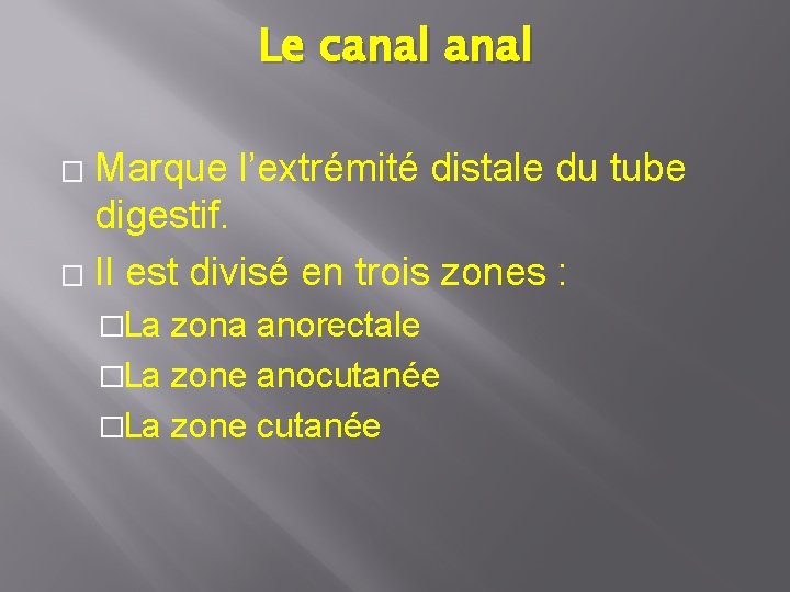 Le canal Marque l’extrémité distale du tube digestif. � Il est divisé en trois