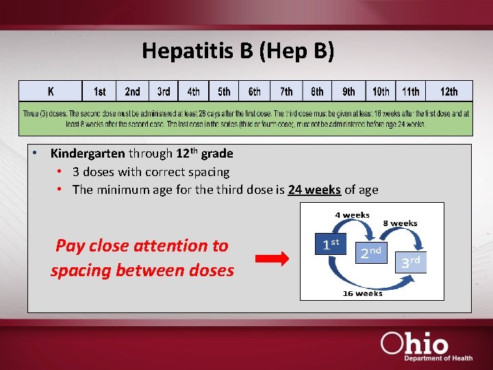 Hepatitis B (Hep B) • Kindergarten through 12 th grade • 3 doses with