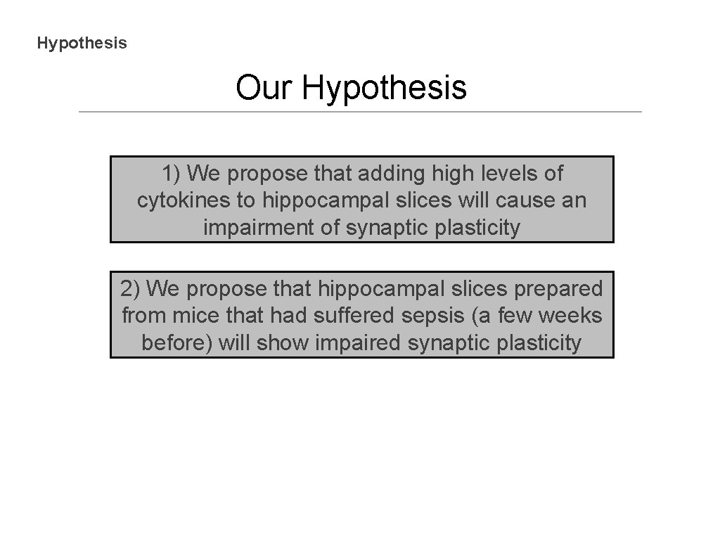 Hypothesis Our Hypothesis 1) We propose that adding high levels of cytokines to hippocampal