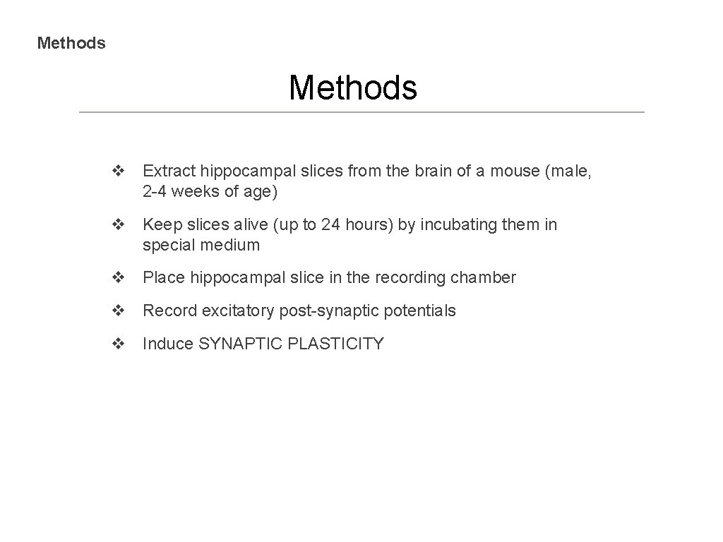 Methods v Extract hippocampal slices from the brain of a mouse (male, 2 -4