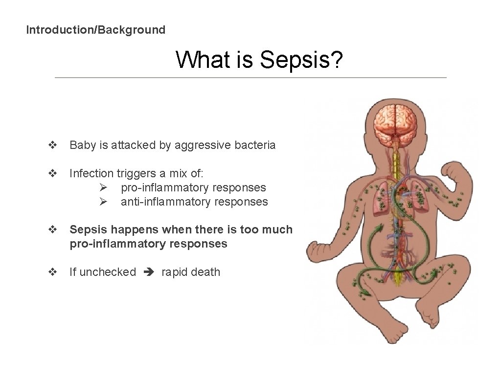 Introduction/Background What is Sepsis? v Baby is attacked by aggressive bacteria v Infection triggers