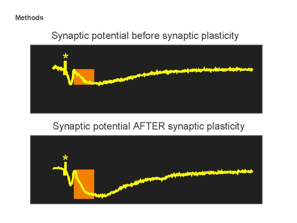 Methods Synaptic potential before synaptic plasticity Synaptic potential AFTER synaptic plasticity 